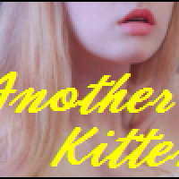Another Kitten